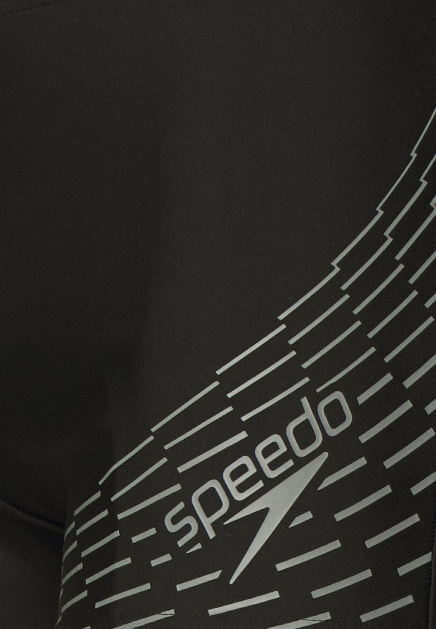 Speedo Medley Logo Jam - Zwemshorts - Black/Ardesia 5 Speedo Medley Logo Jam - Zwemshorts - Black/Ardesia - Afbeelding 3