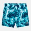 Speedo Digi - Zwemshorts - Ammoniteblue/Bluetack/Aquarium 1 Speedo Digi - Zwemshorts - Ammoniteblue/Bluetack/Aquarium -Speedo cf07de949cf14ff39eb4eac5413f522d